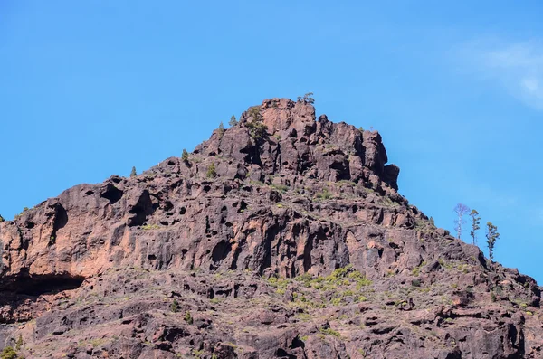 Formación Basáltica de Roca Volcánica en Gran Canaria —  Fotos de Stock