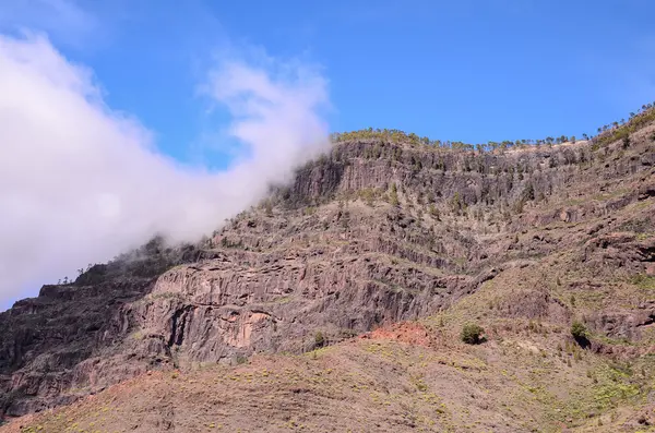 Basaltische vorming van vulkanische rotsen op Gran Canaria — Stockfoto