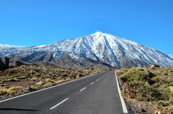 Krajobraz pustynny w Parku Narodowym Volcan Teide — Zdjęcie stockowe