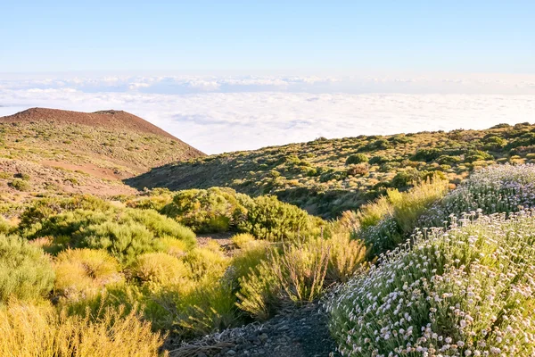 Mar de Nubes — Fotografia de Stock