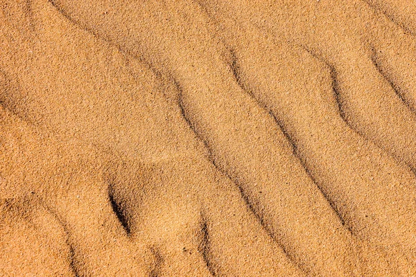 Desen Kum Çölü — Stok fotoğraf