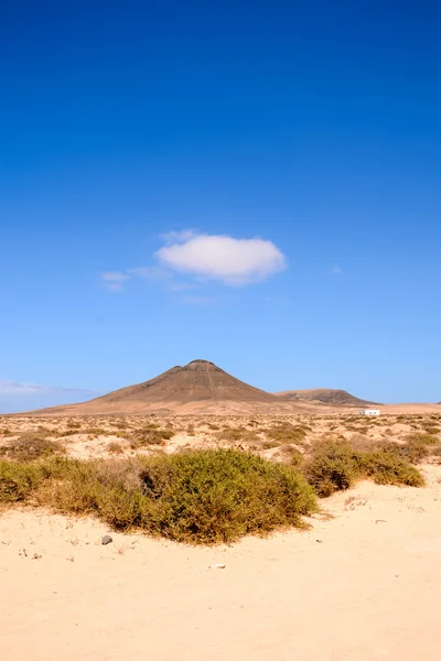 Paesaggio deserto asciutto — Foto Stock