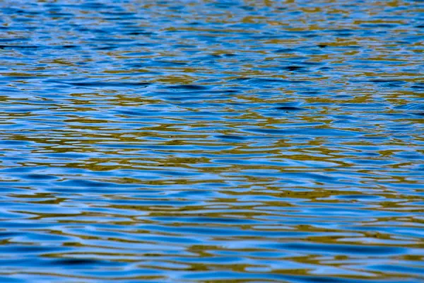 Río Brenta salvaje — Foto de Stock