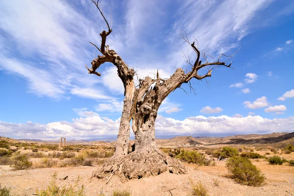 Desert Tabernas nella provincia di Almeria Spagna — Foto Stock