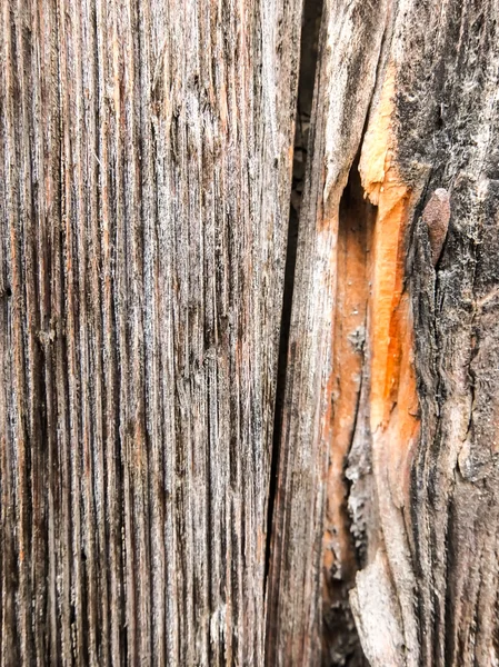 Struttura di fondo in legno — Foto Stock