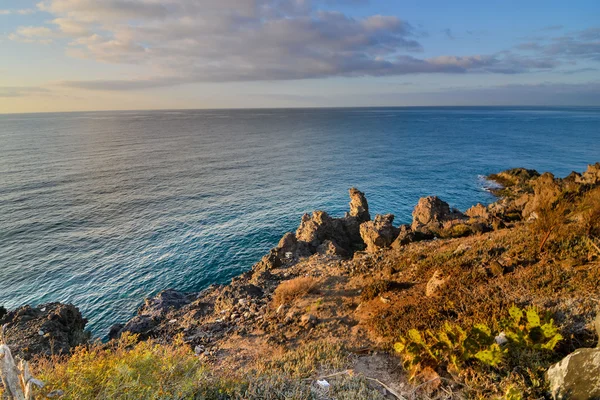 Playa de la costa seca de lava — Foto de Stock