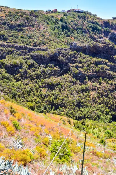 Valley na Kanárských ostrovech — Stock fotografie