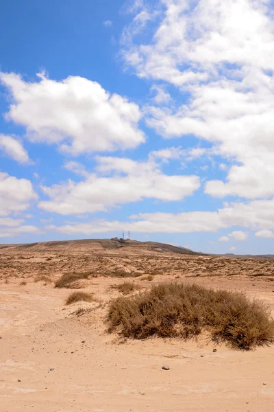 Paesaggio deserto asciutto — Foto Stock