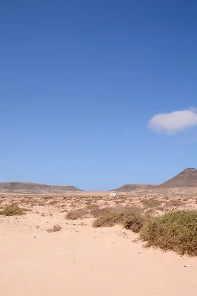 Paesaggio deserto asciutto — Foto Stock