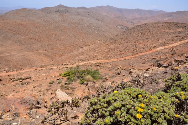 Paisagem seca do deserto — Fotografia de Stock