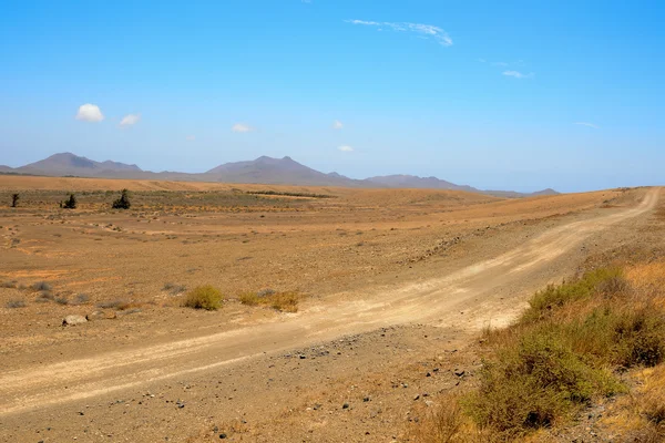 Desierto seco paisaje — Foto de Stock