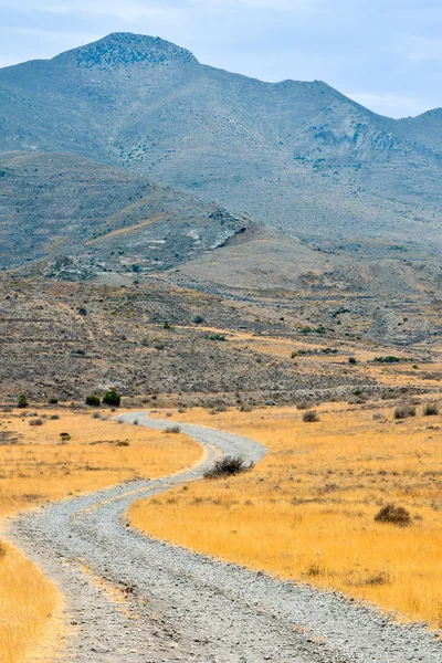 Campiña Camino de la suciedad del desierto — Foto de Stock