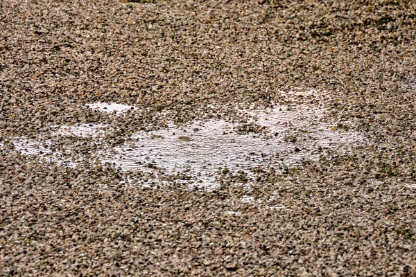 Pfütze aus Wasser und Regentropfen — Stockfoto