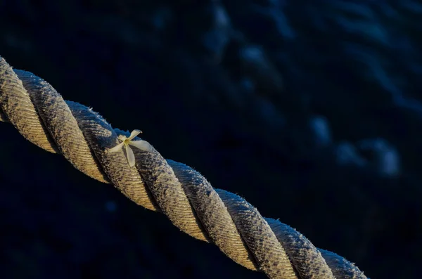 Old Vintage Naval Rope — Stock Photo, Image