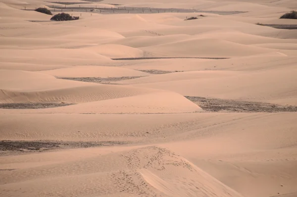 Deserto de Duna de Areia em Maspalomas — Fotografia de Stock