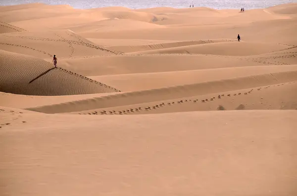 Sand Dune Desert in Maspalomas — Stock Photo, Image