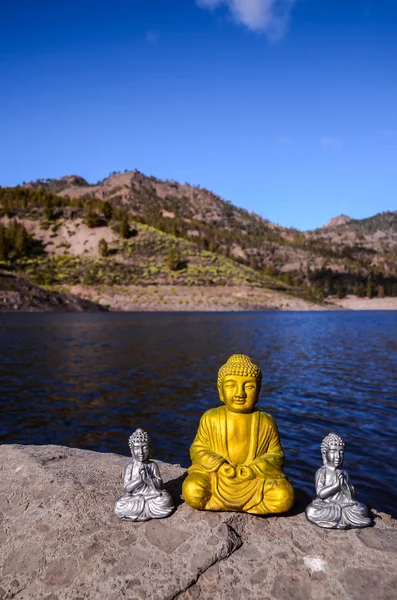 Jeden posąg Buddy starożytnych — Zdjęcie stockowe