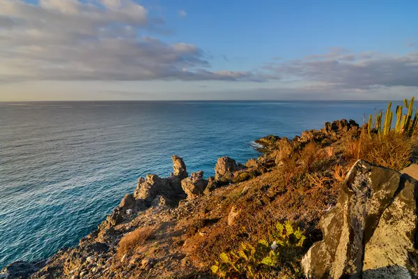 Dry Lava Coast Beach — Stock Photo, Image