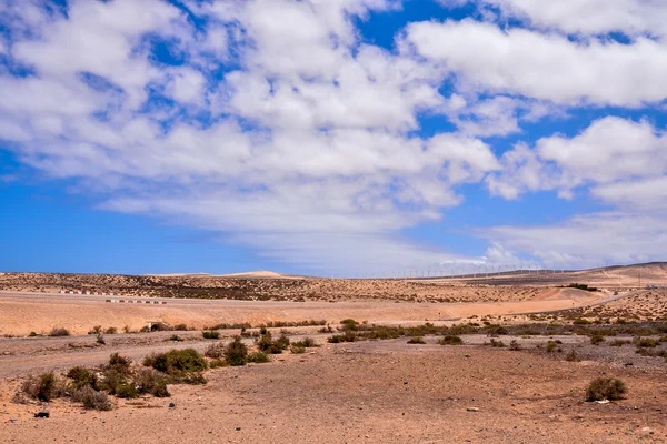 Droog woestijnlandschap — Stockfoto