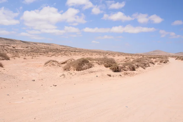 Paisagem seca do deserto — Fotografia de Stock