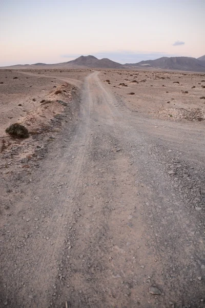 Platteland Desert Dirt Road — Stockfoto