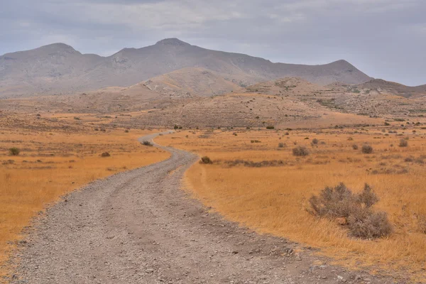 Campiña Camino de la suciedad del desierto —  Fotos de Stock