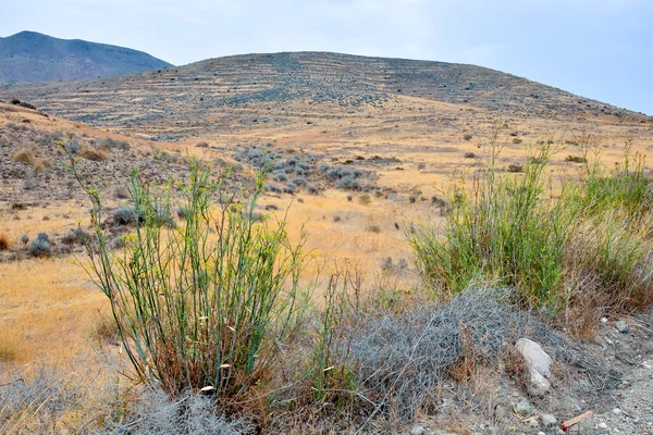 Landschaft in Südspanien — Stockfoto