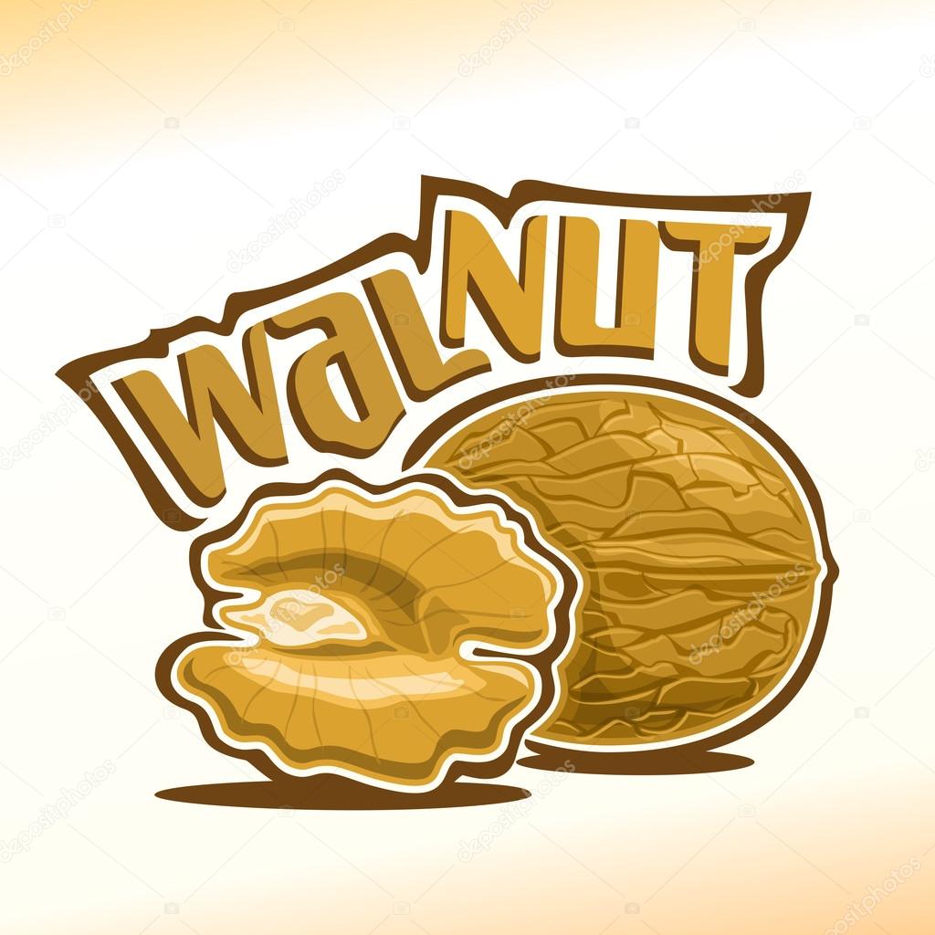 Vector illustration on the theme of the logo for walnut nuts, consisting of nut-in-shell and half of the peeled kernel of the nut