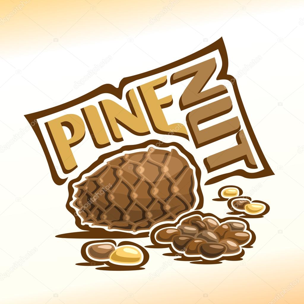 Vector illustration on the theme of the logo for pine nuts, consisting of a cedar cone, peeled nuts kernel and nutlets in the nutshell
