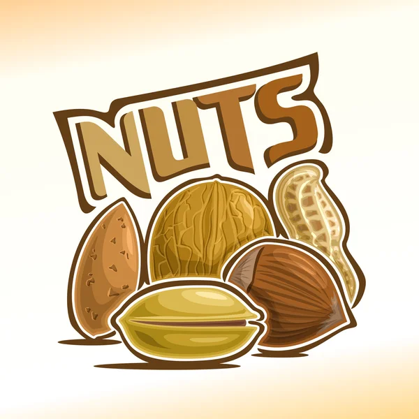 Vector illustration of nuts — Stock Vector