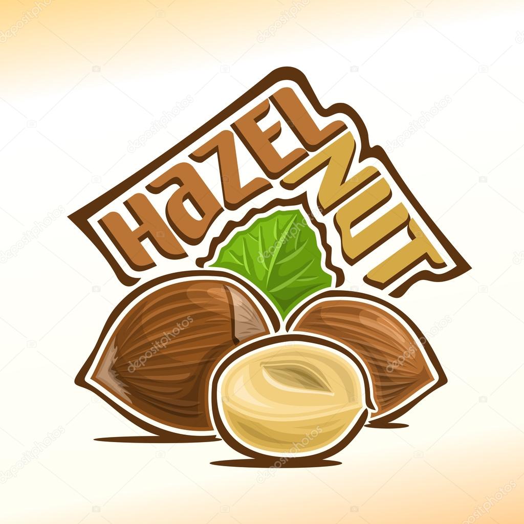 Vector illustration on the theme of the logo for hazelnut nuts, consisting of peeled half hazelnut nutlet and two nuts in the nutshell and green leaf in the background