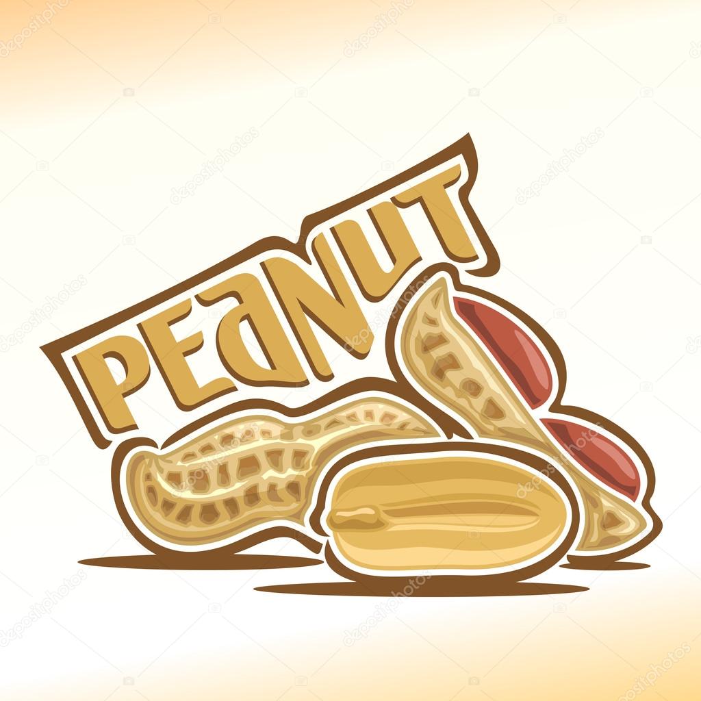 Vector illustration on the theme of the logo for peanut nuts, consisting of peeled half peanut nutlet and two nuts in the nutshell