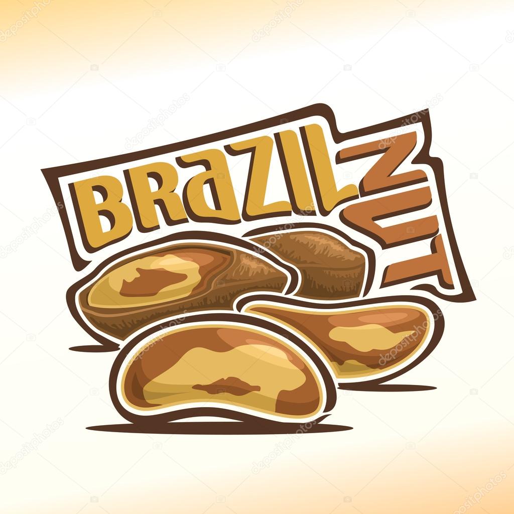 Vector illustration on the theme of the logo for brazil nuts, consisting of peeled brazil nutlets and two nuts in the nutshell