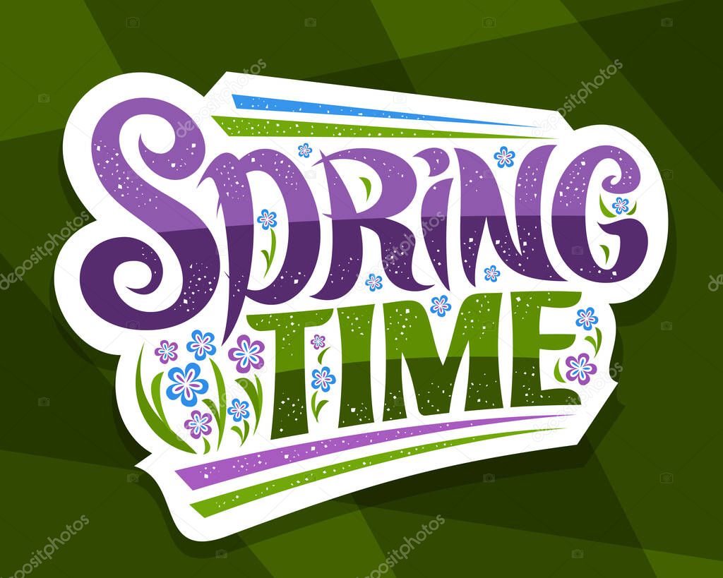 Vector lettering Spring Time, greeting card with curly calligraphic font and decorative colorful stripes, poster with unique swirly handwritten lettering spring time and illustration of spring flowers