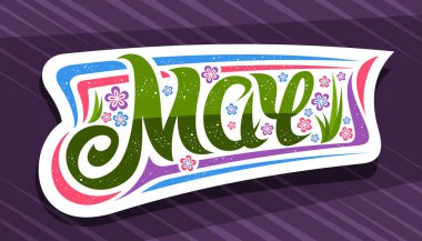 Vector banner for May, white badge with curly calligraphic font, decorative stripes and illustration of colorful flowers, spring time symbol with swirly hand written lettering may on purple background