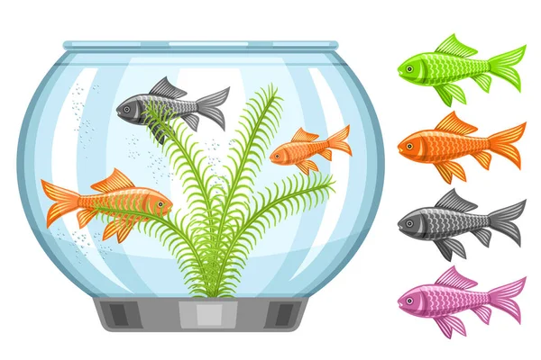 Vector Illustration Fish Tank Aquarium Swimming Goldfishes Seaweed Set Cut Stock Vector