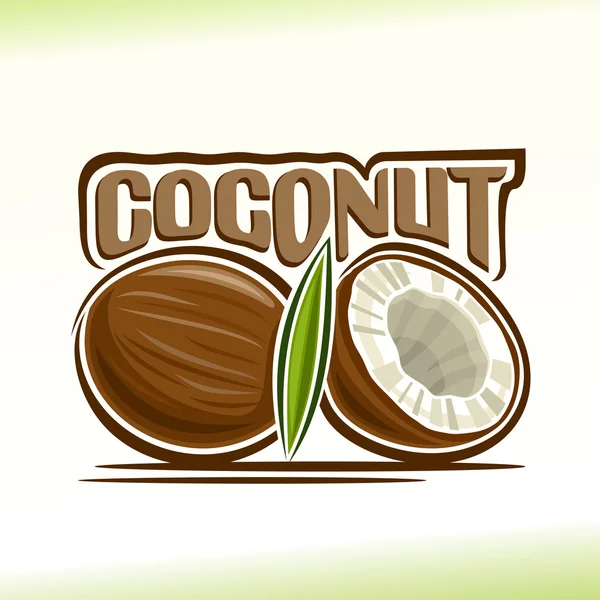Vectorillustratie op het thema van de kokosnoot — Stockvector