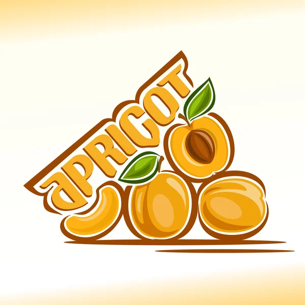 Ilustración vectorial sobre el tema del albaricoque — Vector de stock