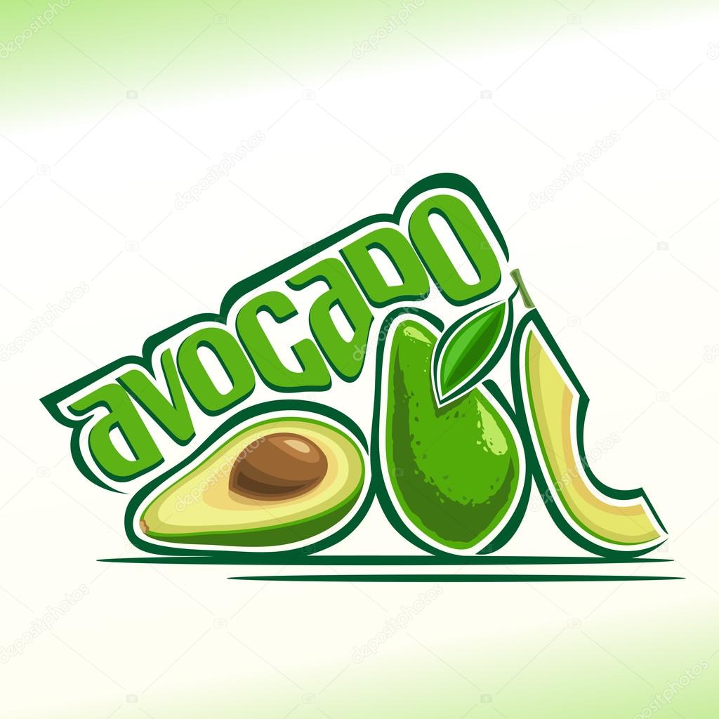 Abstract vector illustration on the theme of  avocado