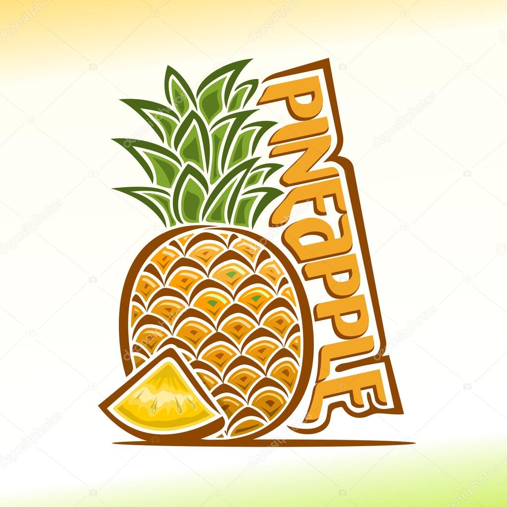 Vector illustration on the theme of  pineapple