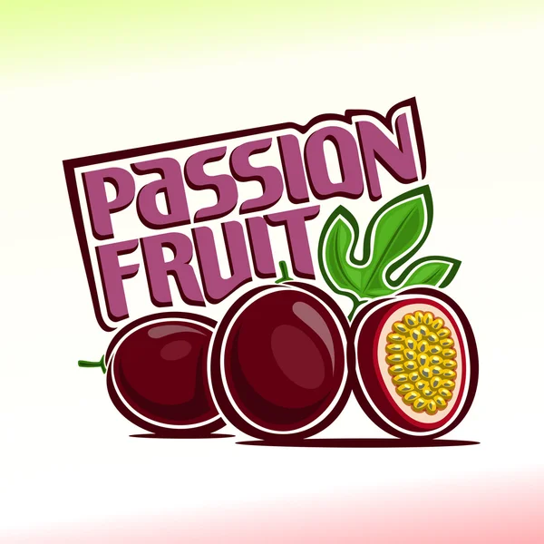 Vector illustration on the theme of  passion fruit — Stock Vector