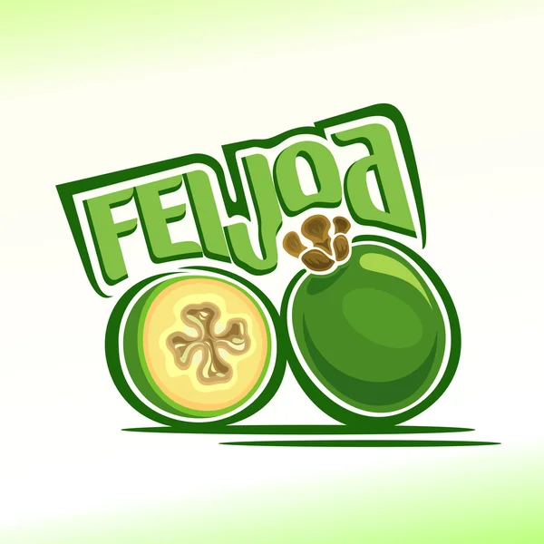 Vectorillustratie op het thema van feijoa — Stockvector