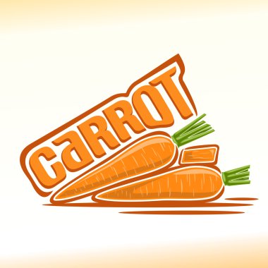 Havuç konulu vektör çizim