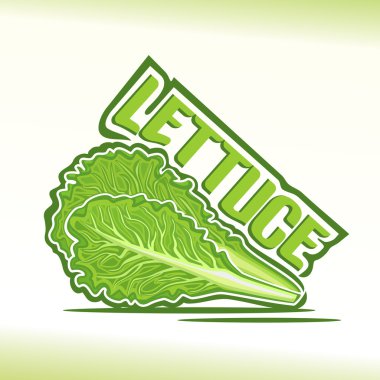 Marul konulu vektör çizim