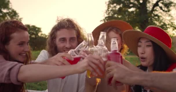 Les gens heureux cliquetis avec des bouteilles en verre et boire dans l'éclairage du coucher du soleil. Divers jeunes amis pique-niquer et passer du bon temps ensemble tout en étant assis sur l'herbe dans le parc. — Video