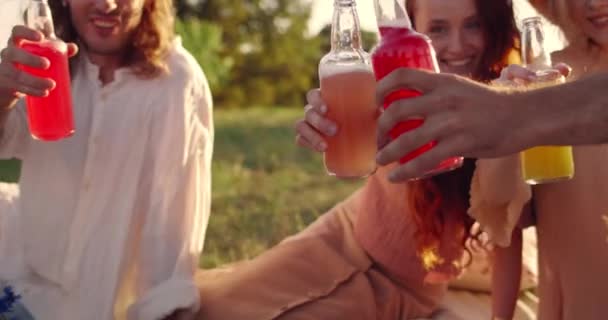 Vista de la cosecha de amigos guapos tintineo con botellas de vidrio mientras se divierten juntos. Millennial personas sonriendo mientras están sentados en la hierba en el parque. Concepto de amistad. — Vídeo de stock