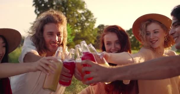 Grupa szczęśliwych ludzi wiwatujących ze szklanymi butelkami podczas pikniku. Różnorodni młodzi przyjaciele śmieją się i spędzają razem czas siedząc na trawie w parku. Pojęcie przyjaźni. — Wideo stockowe