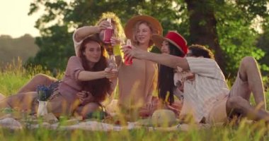 İyi görünümlü genç arkadaşlar piknik yaparken cam şişelerle tıkırdıyorlar. Milenyum mutlu insanları parkta çimlerin üzerinde otururken gülümserler. Dostluk ve huzur kavramı.