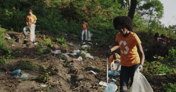 Joven mujer afro americana alegre usando recolector de basura mientras recoge la basura en la bolsa de basura. Grupo de voluntarios multirraciales limpiando el parque público. Concepto de limpieza y ecología. — Vídeos de Stock