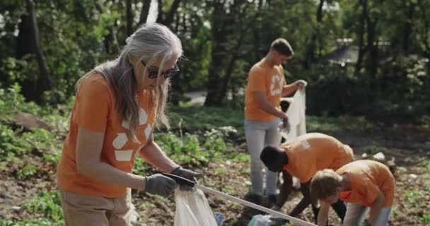 Elderly lady in glasses collecting and putting garbage in bin bag. Group of diverse volunteers in t shirts with recycling symbol cleaning forest. Concept of ecology and team work. — 图库视频影像